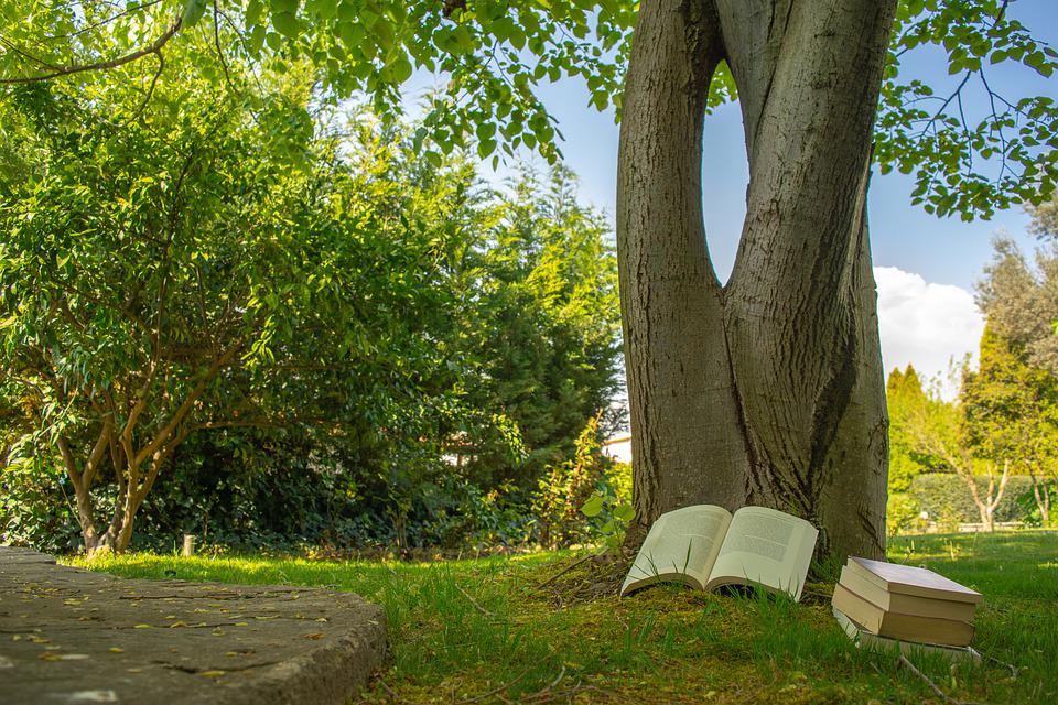 Bibliothèque Lire aux bois