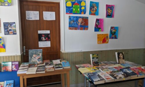 PXL_20230922_135325576