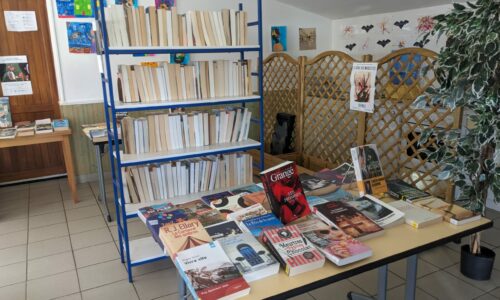 PXL_20230922_135336240